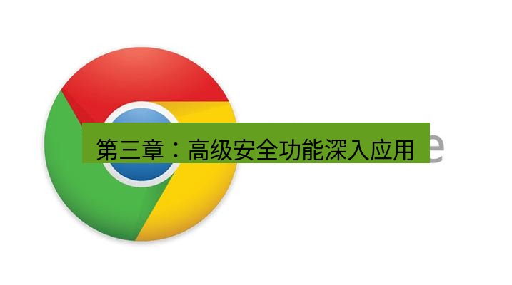 谷歌浏览器下载 第三章：高级安全功能深入应用
