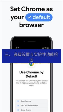 谷歌浏览器下载 三、 高级设置与实验性功能挖掘