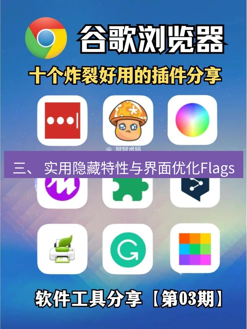 谷歌浏览器下载 三、 实用隐藏特性与界面优化Flags