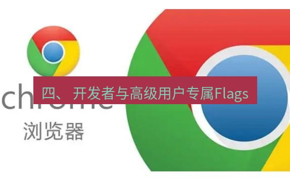 谷歌浏览器下载 四、 开发者与高级用户专属Flags