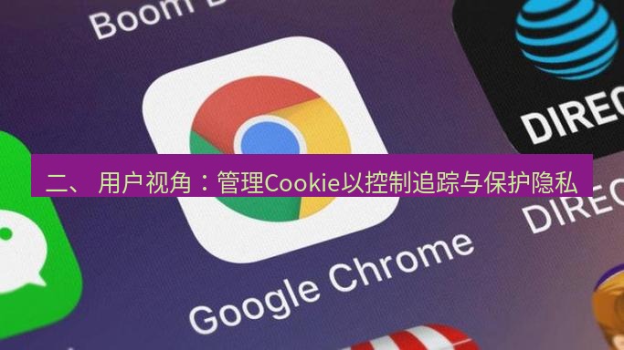 谷歌浏览器下载 二、 用户视角：管理Cookie以控制追踪与保护隐私