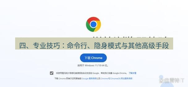 谷歌浏览器下载 四、专业技巧：命令行、隐身模式与其他高级手段
