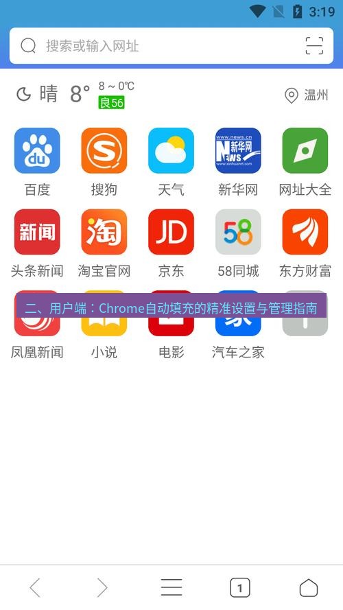 谷歌浏览器下载 二、用户端：Chrome自动填充的精准设置与管理指南