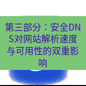 谷歌浏览器下载 第三部分：安全DNS对网站解析速度与可用性的双重影响