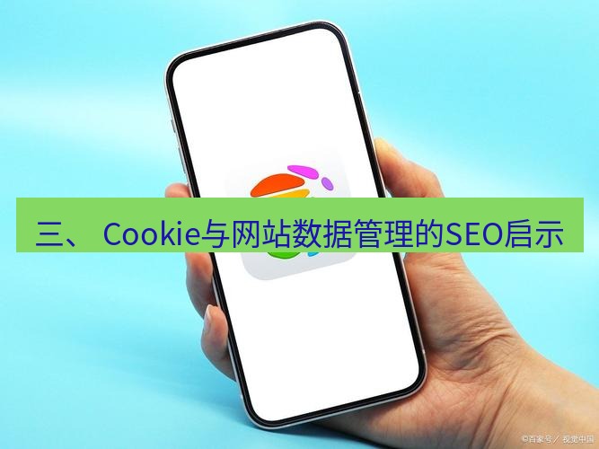 谷歌浏览器下载 三、 Cookie与网站数据管理的SEO启示