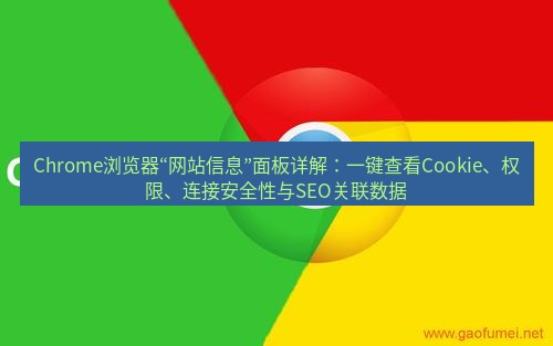 谷歌浏览器下载 Chrome浏览器“网站信息”面板详解：一键查看Cookie、权限、连接安全性与SEO关联数据
