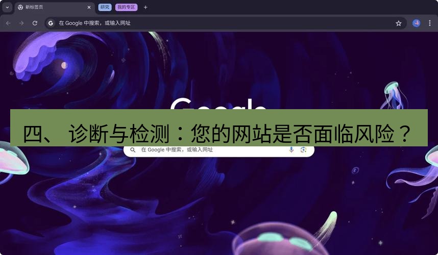 谷歌浏览器下载 四、 诊断与检测：您的网站是否面临风险？