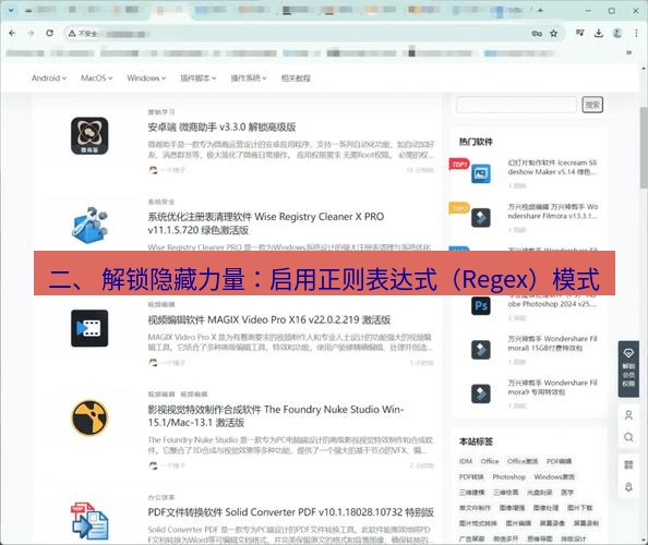 谷歌浏览器下载 二、 解锁隐藏力量：启用正则表达式（Regex）模式