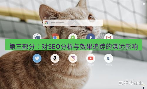 谷歌浏览器下载 第三部分：对SEO分析与效果追踪的深远影响