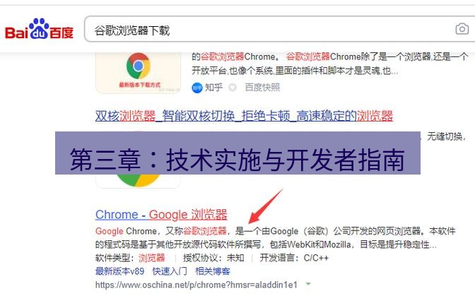 谷歌浏览器下载 第三章：技术实施与开发者指南